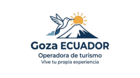 logo sin fondo